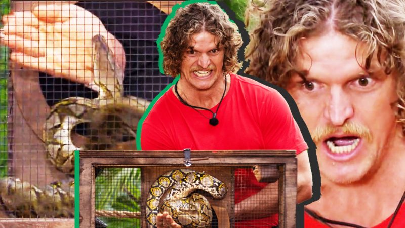 That was awesome': Nick 'The Honey Badger' Cummins gets bitten by a snake  and loves it