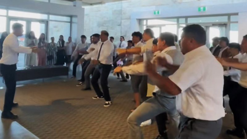 WATCH: Group of tamariki treat Whangārei locals to an awesome Kapa Haka performance